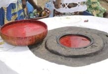 Fauve redoutable, Kinninsi, divinité Vodoun mal comprise Fauve redoutable, Kinninsi, divinité Vodoun mal comprise