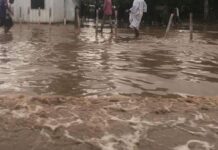 Le Tchad sous les eaux