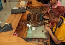 Ouvriers mozambicains roulant les feuilles de tabac