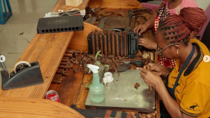 Ouvriers mozambicains roulant les feuilles de tabac Ouvriers mozambicains roulant les feuilles de tabac