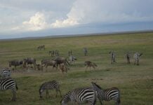 Lire aussi 2 Lire aussi 2