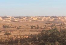 Désaccords internationaux à Ryad dans la lutte contre la sécheresse