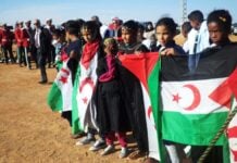 Enfants Sahara occidental