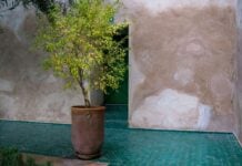 Les incontournables de Marrakech pour un voyage mémorable