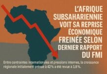 Afrique décroissance FMI