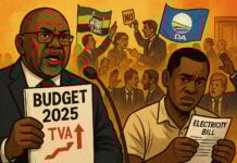 Afrique du Sud Budget 2025