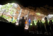Afrique du Sud : Sterkfontein, au cœur du berceau de l’humanité, rouvre au public