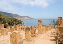 Le Cardo maximus de la ville romaine (Tipaza)