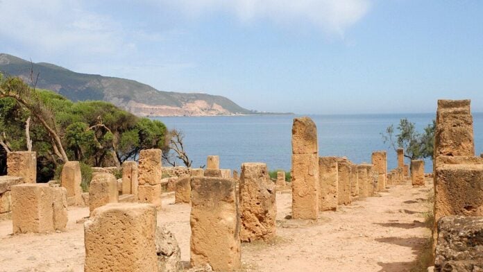 Le Cardo maximus de la ville romaine (Tipaza) Le Cardo maximus de la ville romaine (Tipaza)
