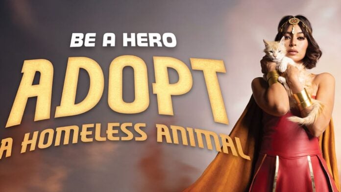Ouidad Elma Adopt animal Ouidad Elma adopte un animal