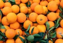 Des oranges