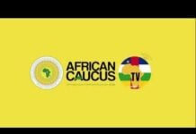 Caucus africain