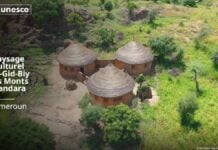 Diy-Gid-Biy Cameroun