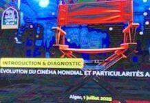 Une stratégie nationale pour relancer le Cinéma algérien