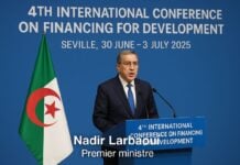 Illustration Nadir Larbaoui a la Conférence de Séville pour le Développement