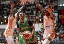Sénégal / Côte d'Ivoire AfroBasket Féminin