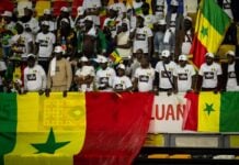 Supporter du Sénégal Afrobasket 2025