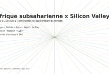 Illustration Afrique Sillicon Valley