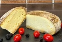 L'Algérie au Mondial du fromage