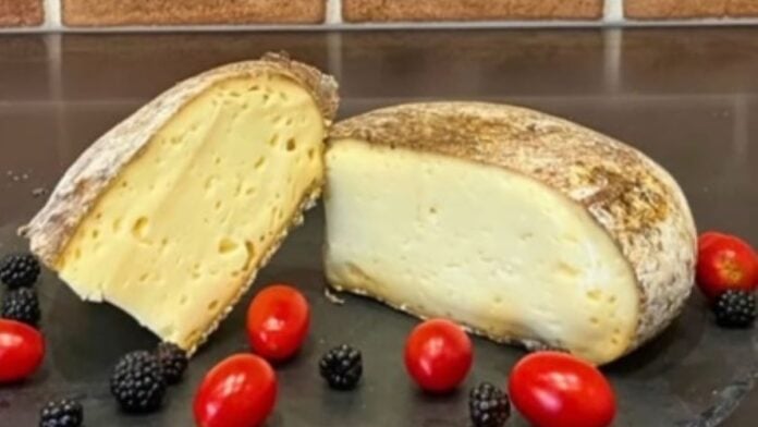 L'Algérie au Mondial du fromage