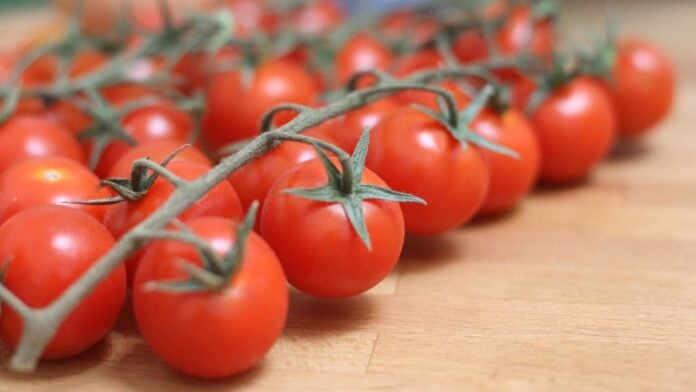 Tomates cerises marocaines Tomates cerises marocaines