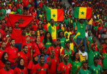 CAN 2025 : la France en tête des ventes, les supporters s’apprêtent à déferler sur le Maroc CAN 2025 : la France en tête des ventes, les supporters s’apprêtent à déferler sur le Maroc