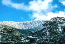 L’hiver frappe à la porte du Maghreb : un week-end sous la neige en Algérie et en Tunisie Neige en Algérie
