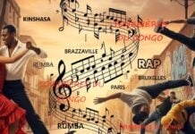 Tourbières du Congo : la société civile se mobilise pour le climat rumba rap kin brazza paris bruxelles Tourbière du Congo