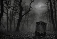 Est du Congo : le cri des morts Est du Congo le cri des morts