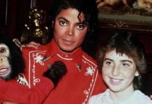 De la gloire mondiale à la retraite paisible : la nouvelle vie du chimpanzé Bubbles, l’icône oubliée de Michael Jackson Michael Jackson et Bubbles