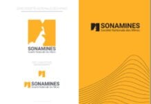 Cobalt, nickel, manganèse : le Cameroun relance le gisement stratégique de Nkamouna-Lomié Sonamines