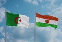 Algérie-Niger : rapprochement stratégique, gazoduc TSGP et stabilité au Sahel Algérie Niger