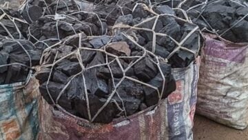 Malawi : un corbillard intercepté avec 30 sacs de charbon sous un cercueil vide Charbon de bois