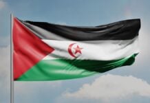 Sahara occidental : le Front Polisario annonce la mort de Lahbib Mohamed Abdelaziz, fils du fondateur historique Drapeau du Sahara occidental