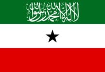 Publication des résultats des législatives au Somaliland Drapeau Somaliland Une
