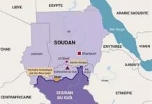 Le Soudan, nouvel horizon stratégique pour les Pays du Golfe Le Soudan, nouvel horizon stratégique pour les Pays du Golfe