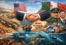 Phosphates et terres rares : entre le pari marocain et l’alternative algérienne, Washington cherche sa voie au Sahara Phosphates et terres rare au Sahara occidental