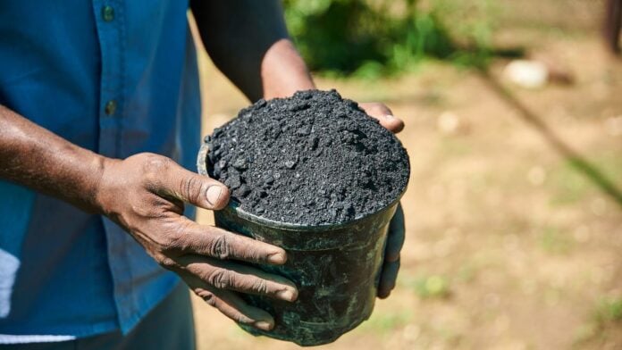 Biochar Biochar
