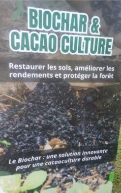 Biochar et cacao culture