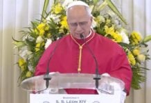 Léon XIV au Cameroun : une première journée placée sous le signe de la paix et de la fraternité Le pape Léon XIV au Cameroun