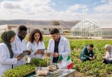À Sidi Bel Abbès, l’Algérie veut devenir un hub africain de formation agricole Illustration centre d’excellence algéro-italien Enrico Mattei