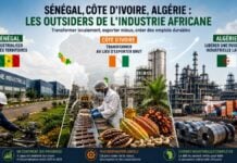 Sénégal, Côte d’Ivoire, Algérie : les outsiders de l’industrie africaine Les outsiders de l'économie africaine Algérie Côte d'Ivoire et Sénégal