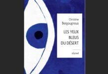 Les Yeux bleus du désert : un conte mauritanien pour voir avec le cœur Les Yeux Bleus du Désert de Christine Bergougnous