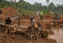 Cameroun ; Yaoundé veut récupérer l’or qui s’échappe vers les Émirats arabes unis Des ouvriers travaillent sur un site d’exploitation aurifère artisanale, sous le regard d’agents de contrôle, dans une zone minière du Cameroun.