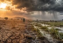 El Niño 2026 en Afrique : sécheresses, fortes chaleurs et risques alimentaires El Niño en Afrique