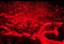 MC Alger : retour sur la nuit où Alger la blanche est devenue Alger la rouge Quand Alger s'embrase