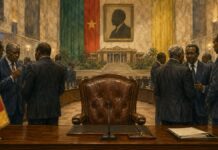 Cameroun : l’absence de Paul Biya relance le débat sur sa succession au sein du RDPC Cameroun l’ombre de la succession plane sur le RDPC