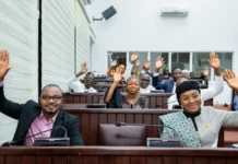 Bénin : vert et sévère, la nouvelle loi environnementale est votée ! Bénin : vert et sévère, la nouvelle loi environnementale est votée !