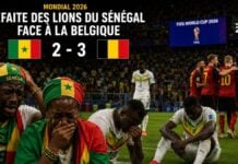 Débâcle du Sénégal au Mondial : Dakar en larmes après le cruel scénario contre la Belgique La déroute du sénégal