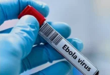 Ebola : l’Afrique du Sud renforce ses contrôles pour les voyageurs en provenance de la RDC et de l’Ouganda Ebola : l'Afrique du Sud renforce ses contrôles pour les voyageurs en provenance de la RDC et de l'Ouganda